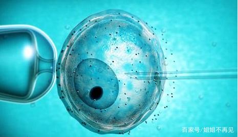 人工高龄供卵代怀微信群
